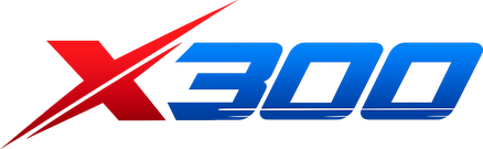 Logo x300